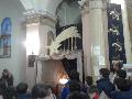 2014 Avvento E Novena Itinerante 17